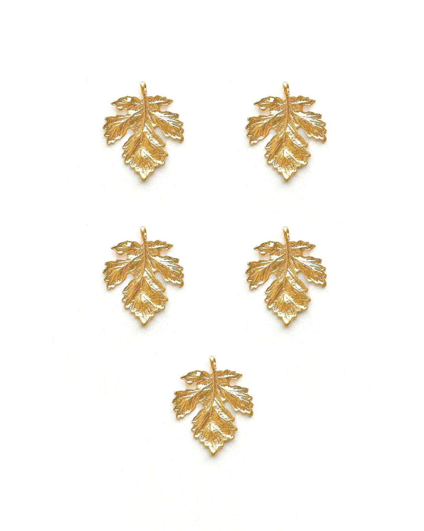 Maple Leaf
