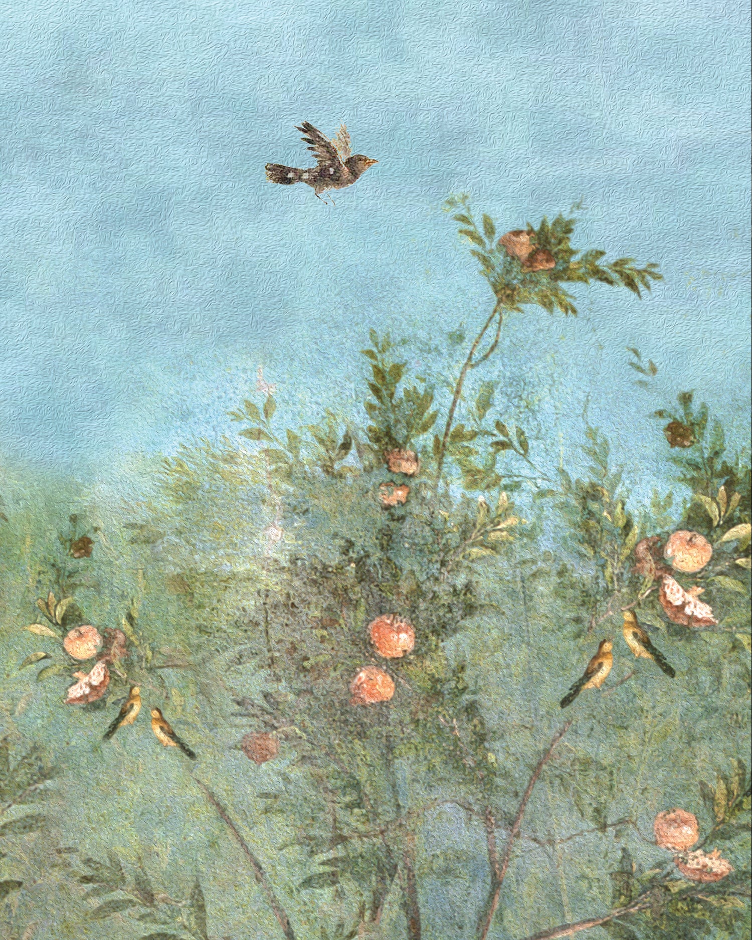 Wild Grove