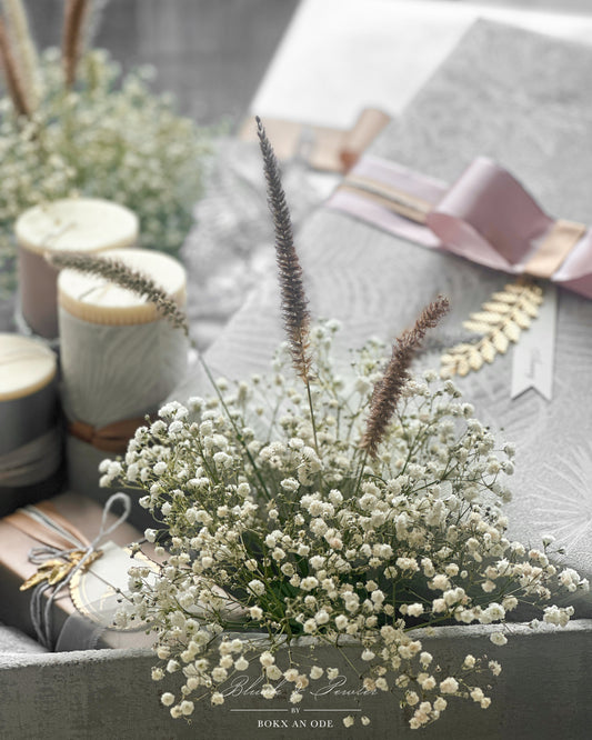 Blush & Pewter