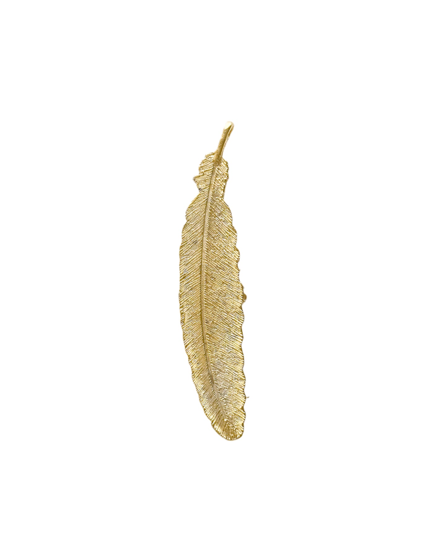 Feather (L)