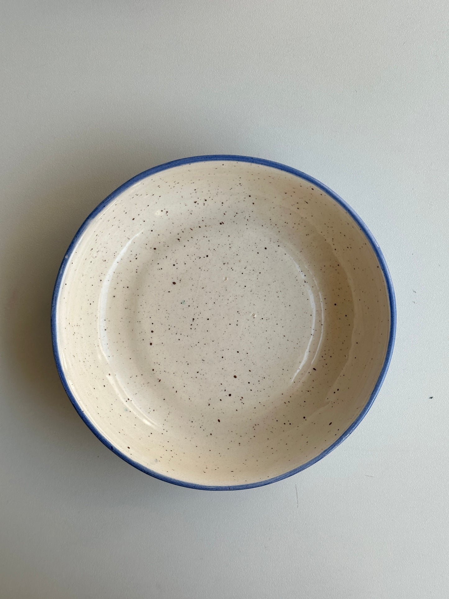 Blue plate bowl