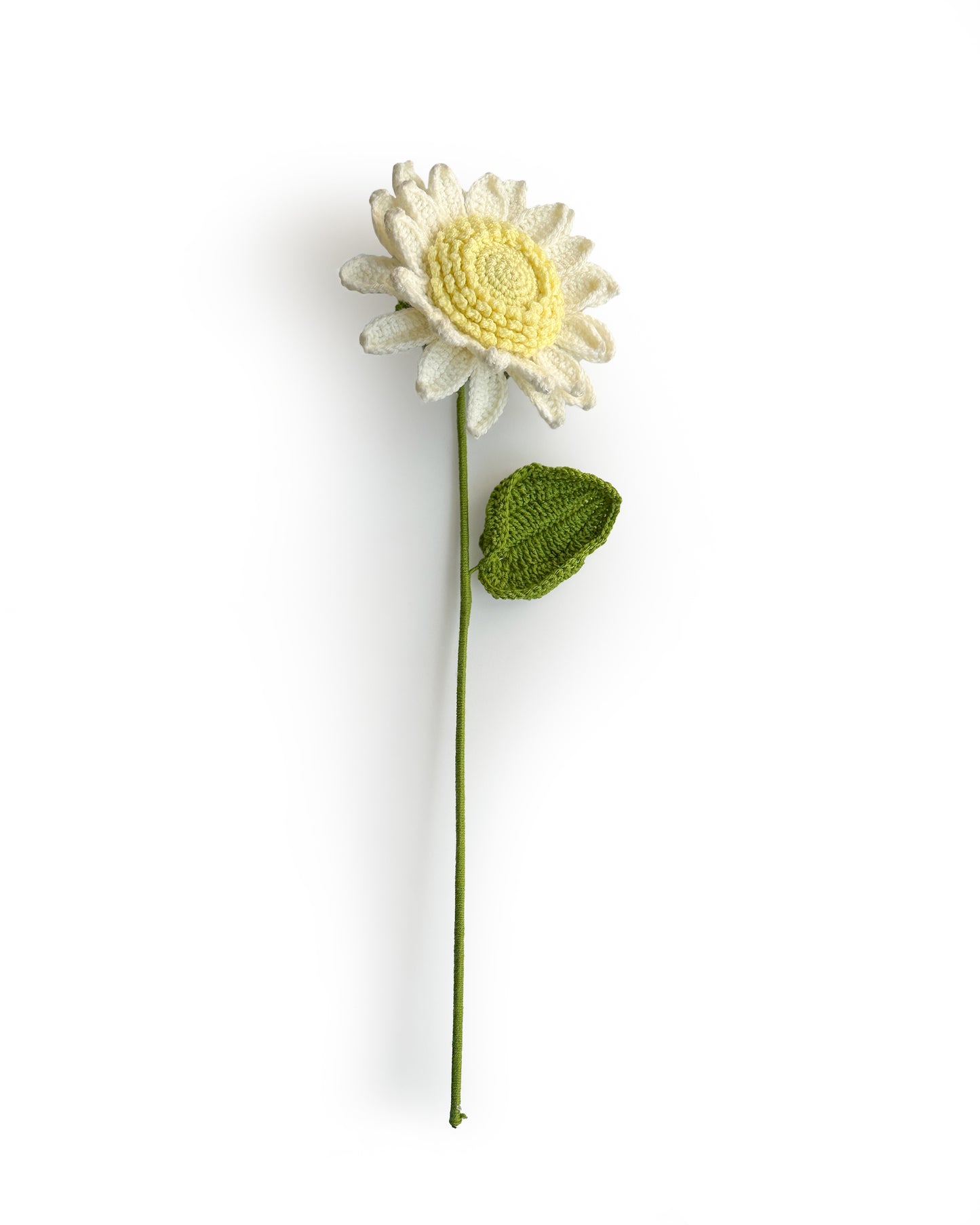Forever Sunflower