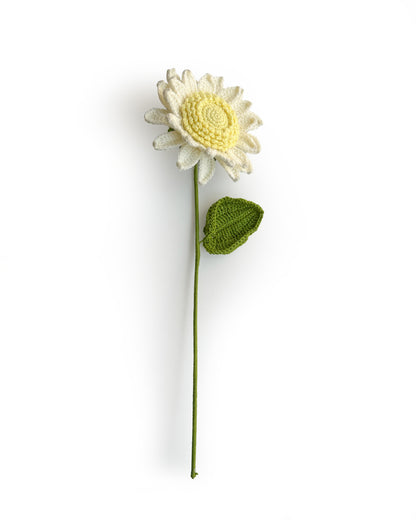 Forever Sunflower