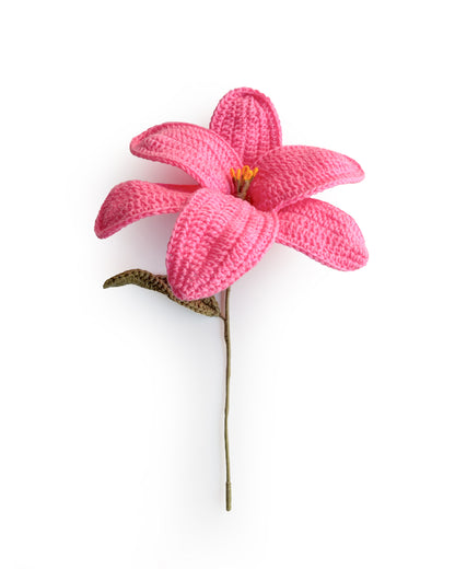 Forever Lily